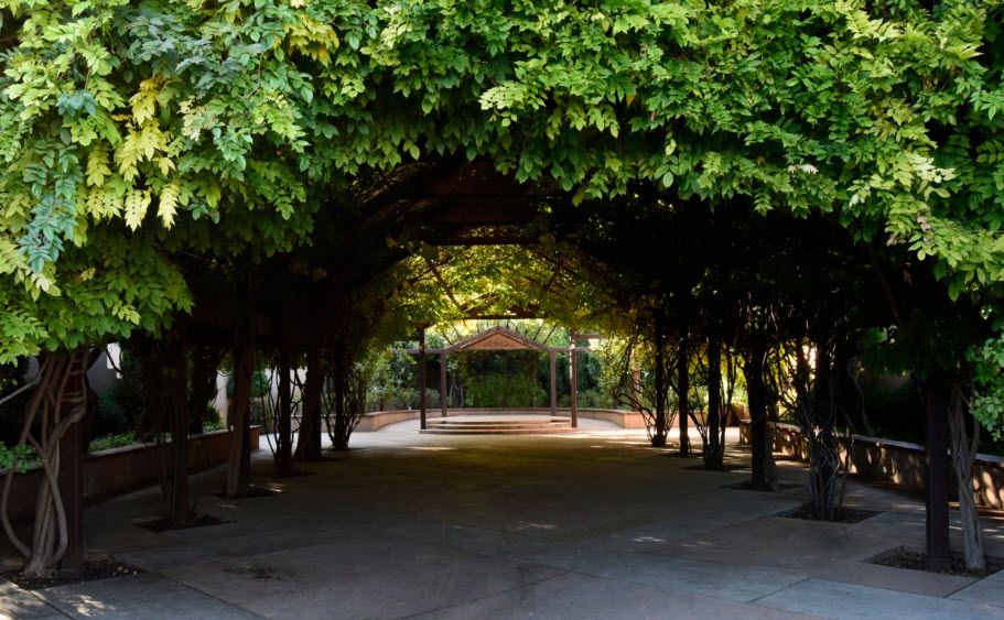 ABQ BioPark - Botanic Garden, United States